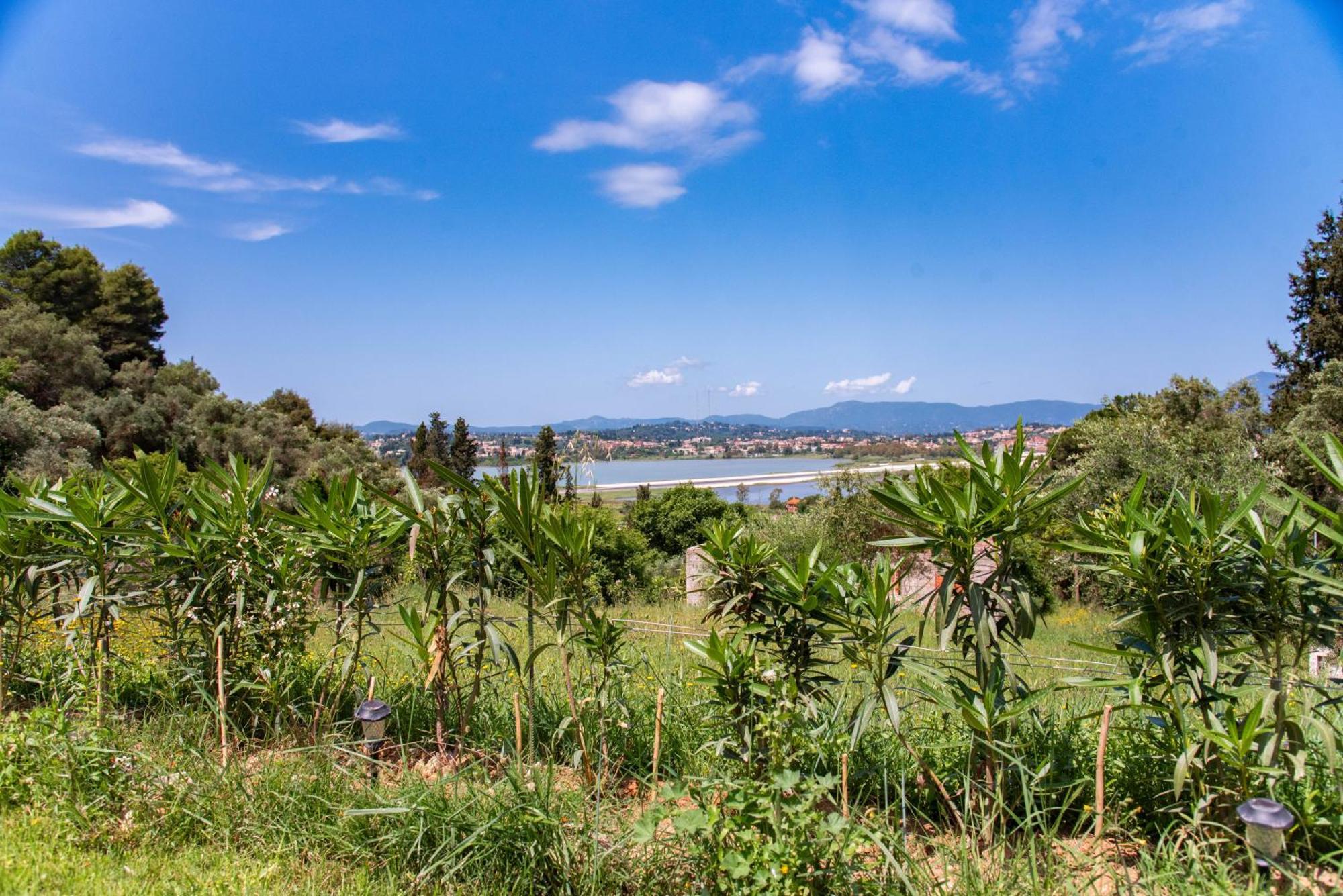 Gems Suites Corfu  Extérieur photo